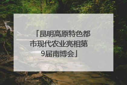 昆明高原特色都市现代农业亮相第9届南博会