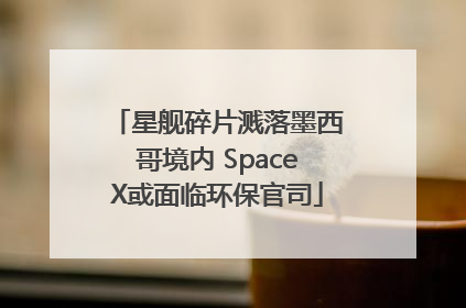 星舰碎片溅落墨西哥境内 SpaceX或面临环保官司