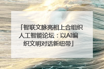 智联文脉亮相上合组织人工智能论坛：以AI编织文明对话新纽带