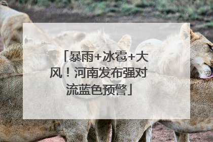 暴雨+冰雹+大风！河南发布强对流蓝色预警