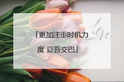 更加注重时机力度 夏吾交巴