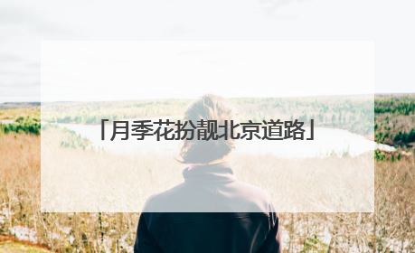 月季花扮靓北京道路