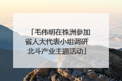 毛伟明在株洲参加省人大代表小组调研北斗产业主题活动