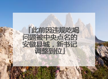 此前因违规吃喝问题被中央点名的安徽县城，新书记调整到位