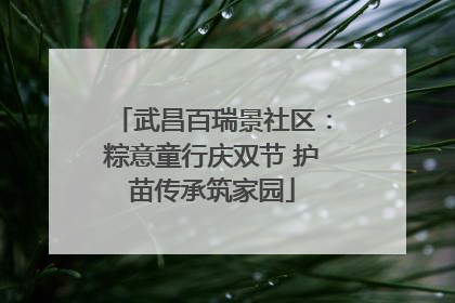 武昌百瑞景社区：粽意童行庆双节 护苗传承筑家园