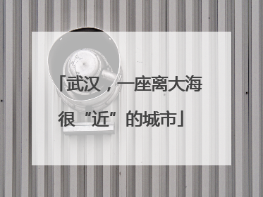 武汉，一座离大海很“近”的城市