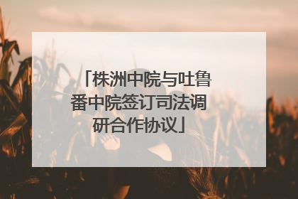 株洲中院与吐鲁番中院签订司法调研合作协议