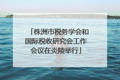 株洲市税务学会和国际税收研究会工作会议在炎陵举行