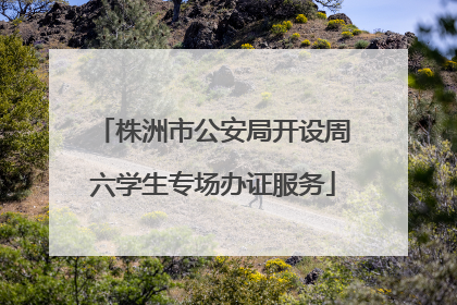 株洲市公安局开设周六学生专场办证服务