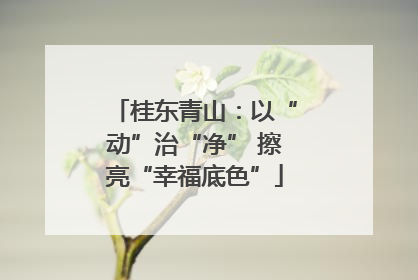 桂东青山：以“动”治“净” 擦亮“幸福底色”