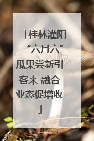 桂林灌阳“六月六”瓜果尝新引客来 融合业态促增收