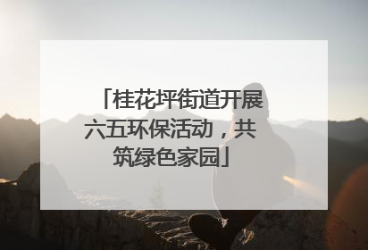 桂花坪街道开展六五环保活动，共筑绿色家园