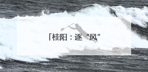 桂阳：逐“风”追“光” 向“新”向“绿”发展