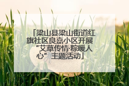 梁山县梁山街道红旗社区良嘉小区开展“艾草传情·粽暖人心”主题活动