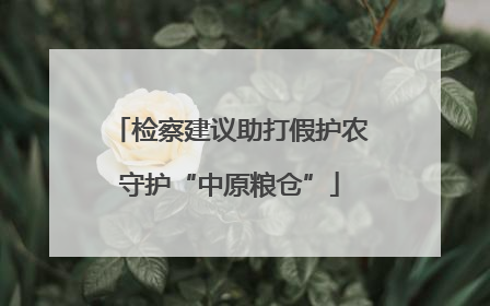 检察建议助打假护农守护“中原粮仓”