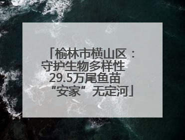 榆林市横山区：守护生物多样性 29.5万尾鱼苗“安家”无定河