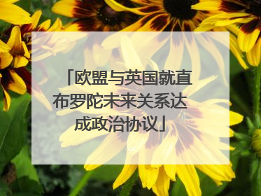 欧盟与英国就直布罗陀未来关系达成政治协议