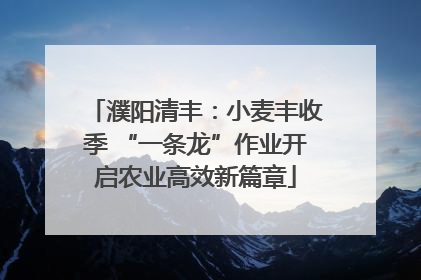 濮阳清丰：小麦丰收季 “一条龙”作业开启农业高效新篇章
