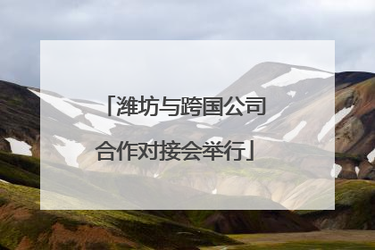 潍坊与跨国公司合作对接会举行