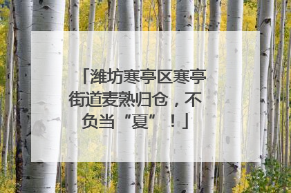 潍坊寒亭区寒亭街道麦熟归仓，不负当“夏”！