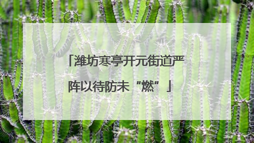 潍坊寒亭开元街道严阵以待防未“燃”