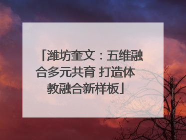 潍坊奎文：五维融合多元共育 打造体教融合新样板