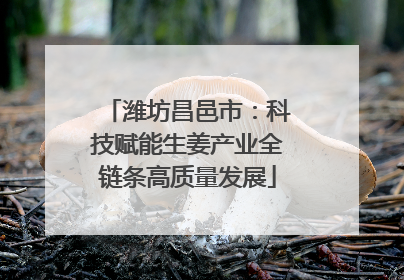 潍坊昌邑市：科技赋能生姜产业全链条高质量发展
