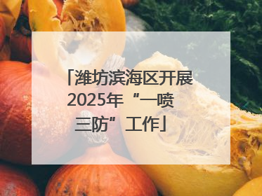 潍坊滨海区开展2025年“一喷三防”工作