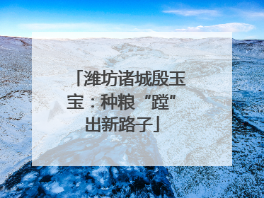 潍坊诸城殷玉宝：种粮“蹚”出新路子