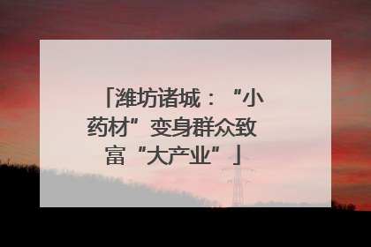 潍坊诸城：“小药材”变身群众致富“大产业”