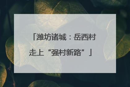 潍坊诸城：岳西村走上“强村新路”