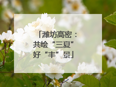 潍坊高密：共绘“三夏”好“丰”景