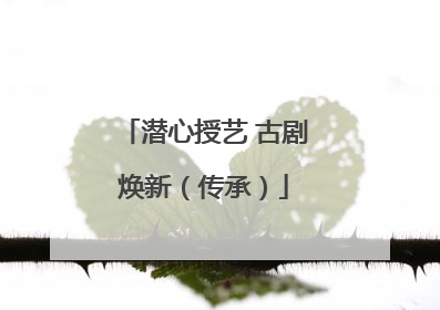 潜心授艺 古剧焕新（传承）