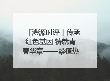 澧源时评｜传承红色基因 铸就青春华章——桑植热土上的青春长征