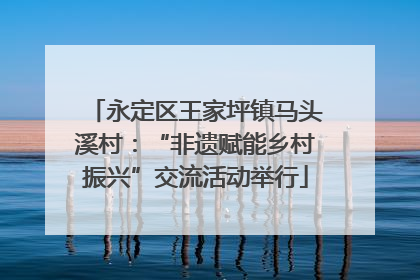永定区王家坪镇马头溪村：“非遗赋能乡村振兴”交流活动举行