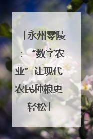 永州零陵：“数字农业”让现代农民种粮更轻松