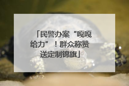 民警办案“嘎嘎给力”！群众称赞送定制锦旗