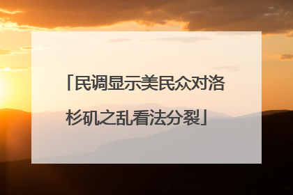 民调显示美民众对洛杉矶之乱看法分裂