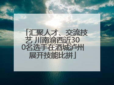汇聚人才、交流技艺 川南渝西近300名选手在酒城泸州展开技能比拼