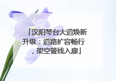 汉阳琴台大道焕新升级：道路扩容畅行，架空管线入廊