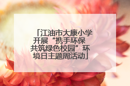 江油市大康小学开展“携手环保 共筑绿色校园”环境日主题周活动