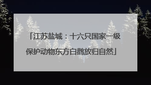 江苏盐城：十六只国家一级保护动物东方白鹳放归自然