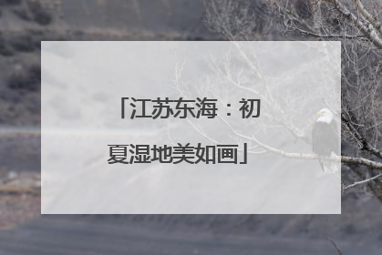 江苏东海：初夏湿地美如画