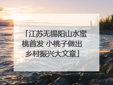 江苏无锡阳山水蜜桃首发 小桃子做出乡村振兴大文章