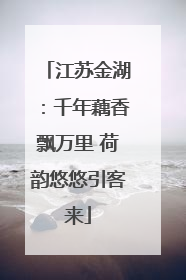 江苏金湖：千年藕香飘万里 荷韵悠悠引客来