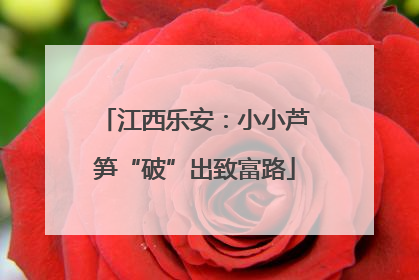江西乐安：小小芦笋“破”出致富路