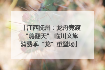 江西抚州：龙舟竞渡“嗨翻天” 临川文旅消费季“龙”重登场