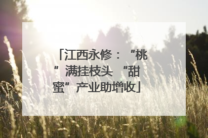 江西永修：“桃”满挂枝头 “甜蜜”产业助增收