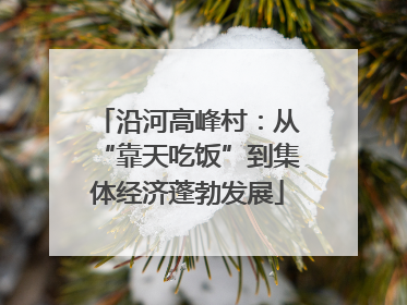 沿河高峰村：从“靠天吃饭”到集体经济蓬勃发展
