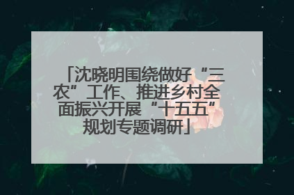 沈晓明围绕做好“三农”工作、推进乡村全面振兴开展“十五五”规划专题调研